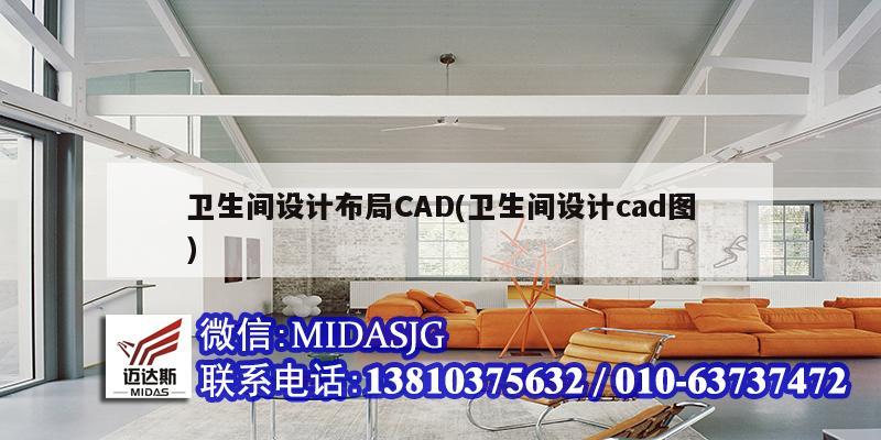 衛(wèi)生間設(shè)計(jì)布局CAD(衛(wèi)生間設(shè)計(jì)cad圖)