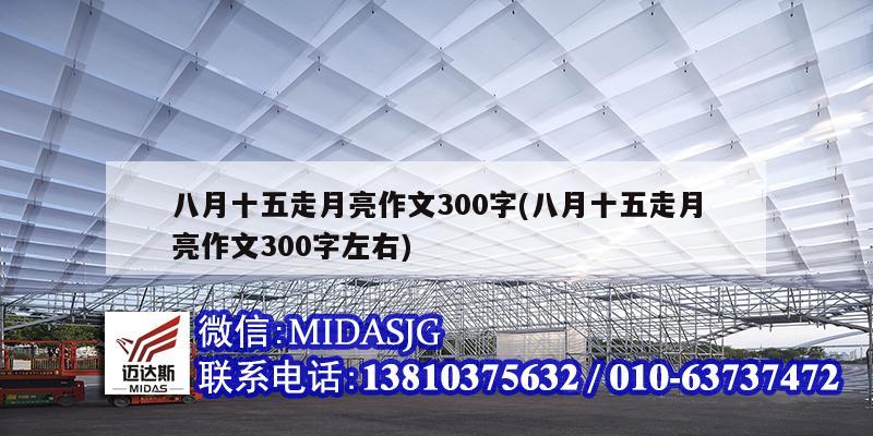 八月十五走月亮作文300字(八月十五走月亮作文300字左右)